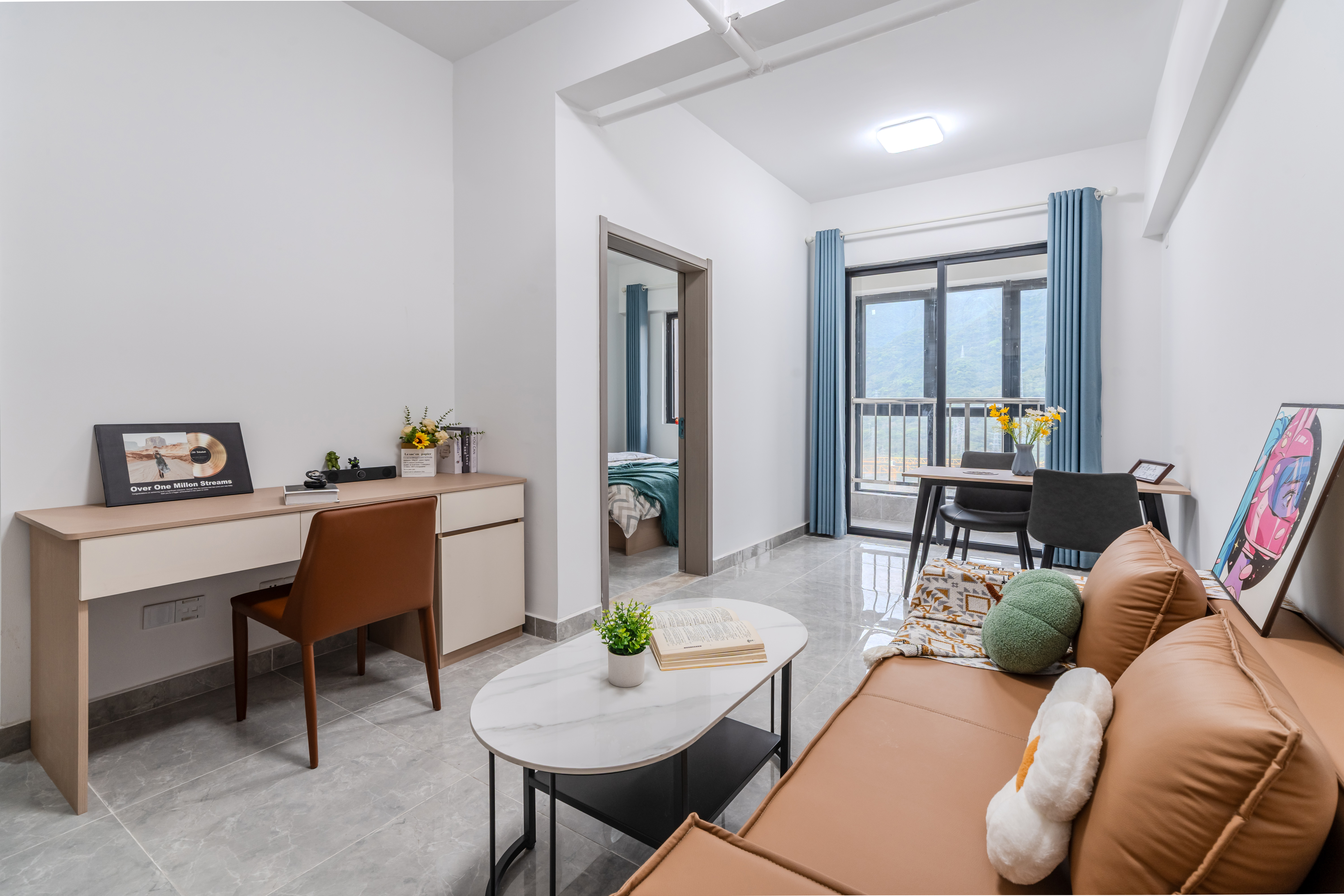 一房一厅 实景1