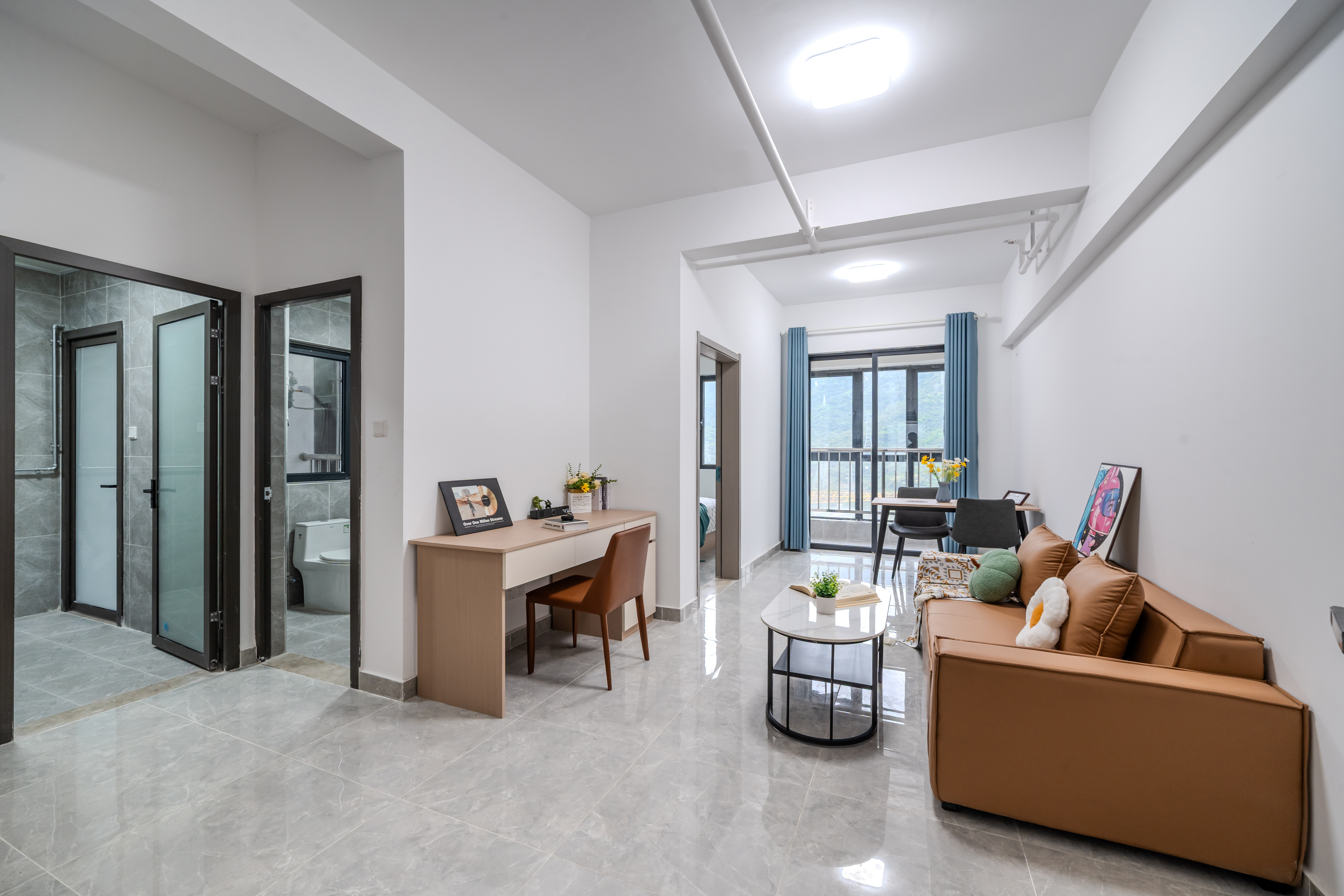 一房一厅 实景2