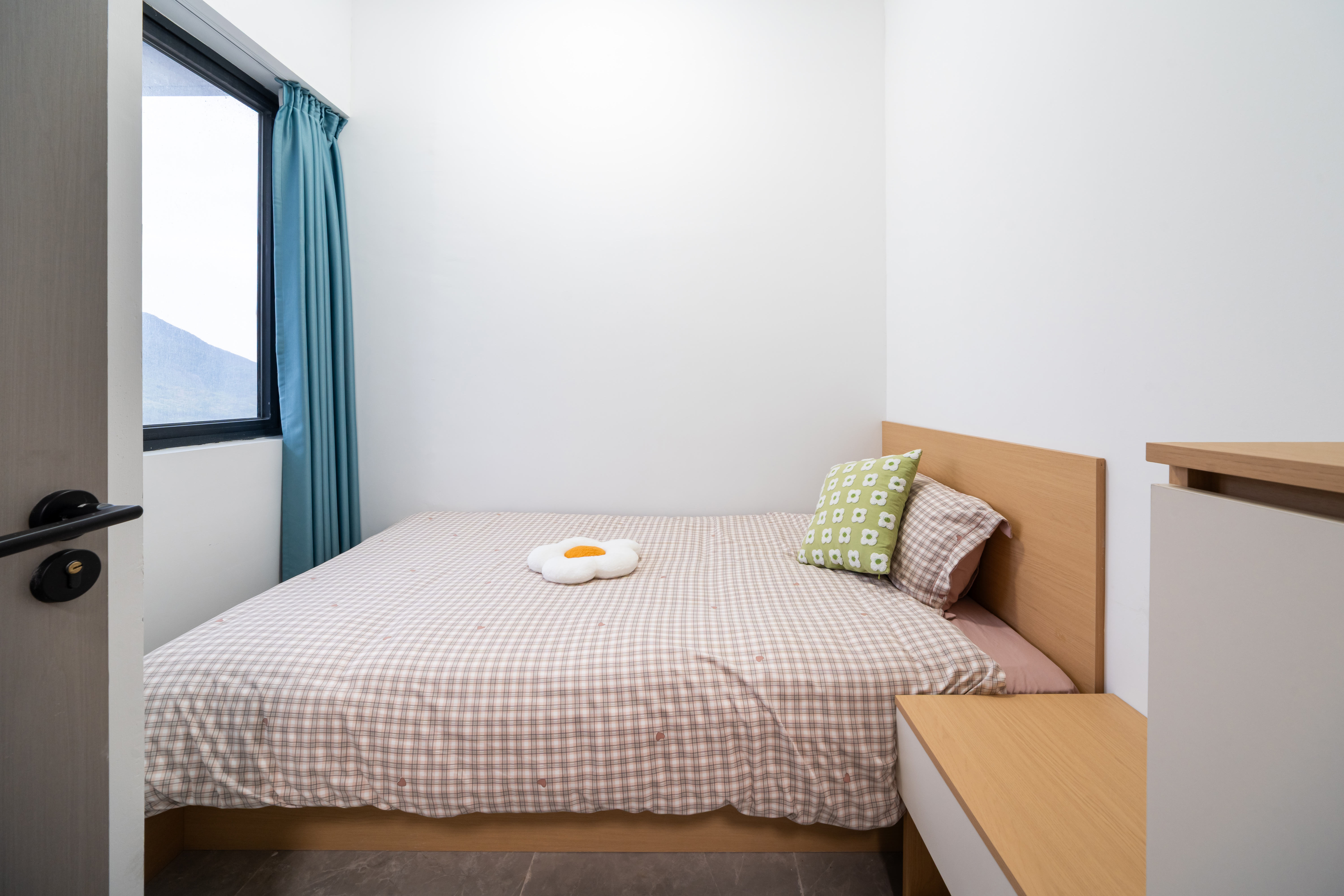 两房一厅 实景4